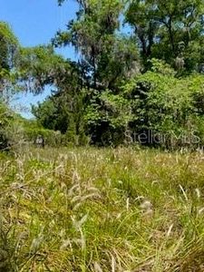 3805 NE 77th St, Anthony, FL, 32617
