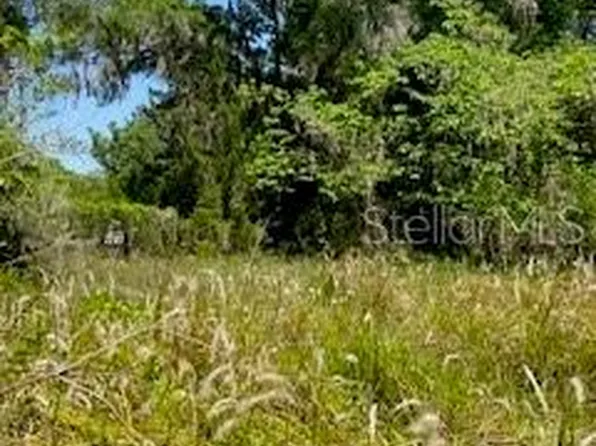 3805 NE 77th St, Anthony, FL 32617