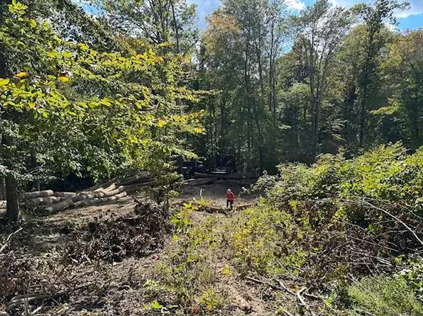 00 Gaps Chapel Rd, Sneedville, TN 37869