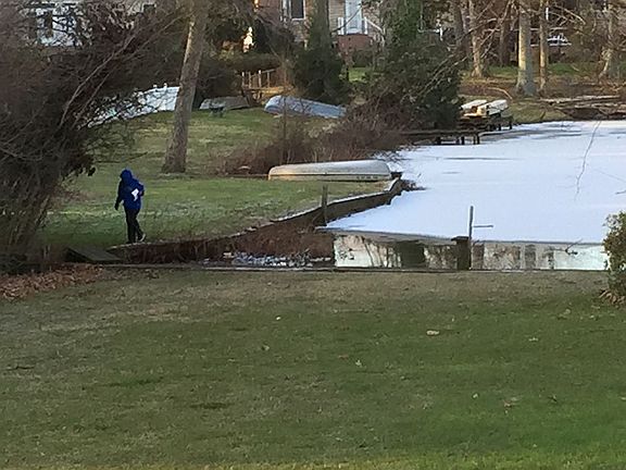 Winter view back yard