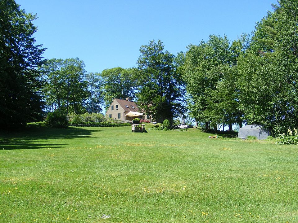 back yard