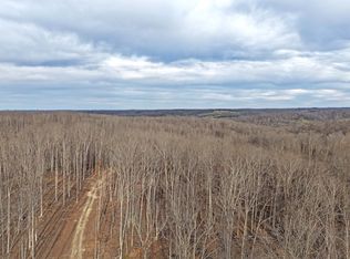 1L Oak Ridge Rd, Vanleer, TN 37181