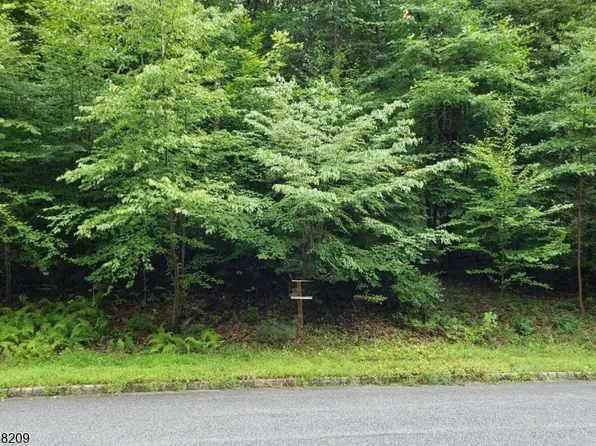 5 Settlers Ridge Ct, Washington Twp., NJ 07865