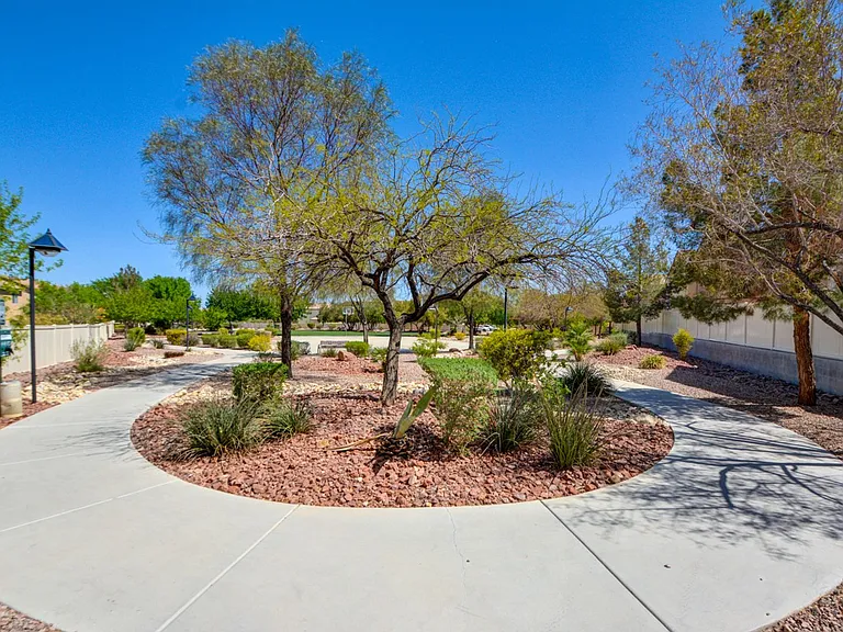 11119 African Sunset St — Photo 35