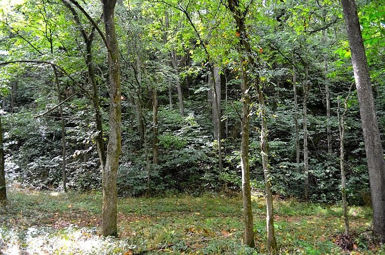 2nd image of 2951 Suffern Hill Rd