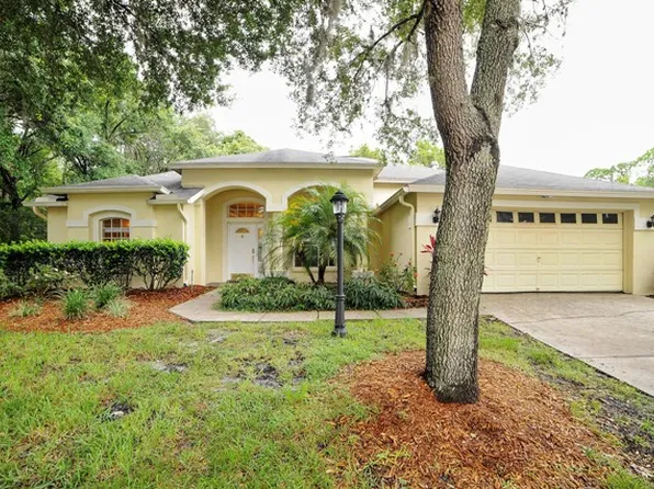 10615 Chambers Dr, Tampa, FL 33626