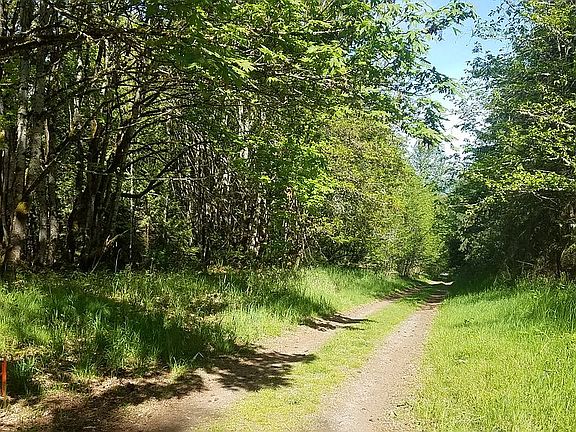 Southern side of property