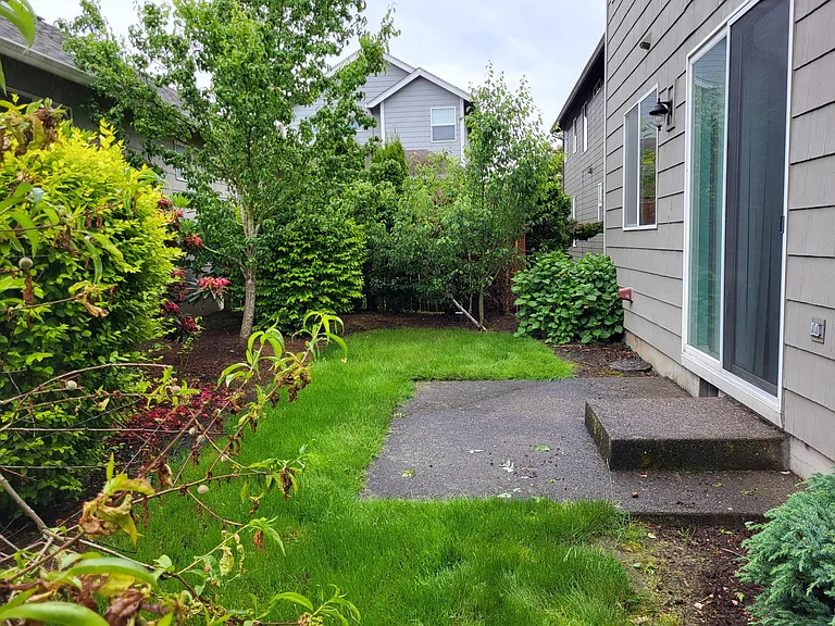 Private backyard with concrete patio