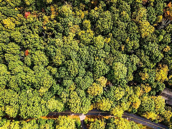 2nd image of LOT 78 Shamokin Springs Trl