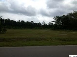 43 Acres Allen Dew Rd, Conway, SC 29527