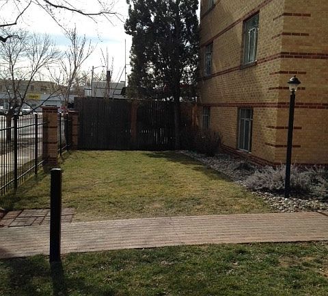 Front Lawn Area