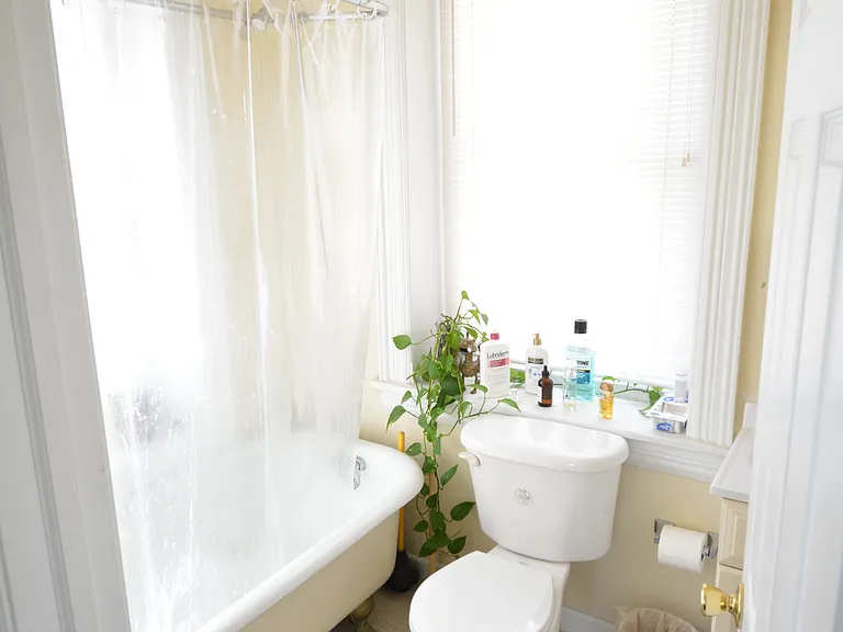 253 W Hansberry St #1F — Photo 15