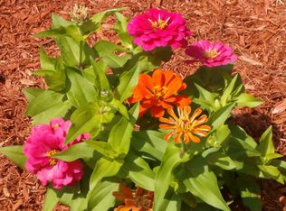 923 Us Route 11 APT 12B, Kirkwood, NY 13795