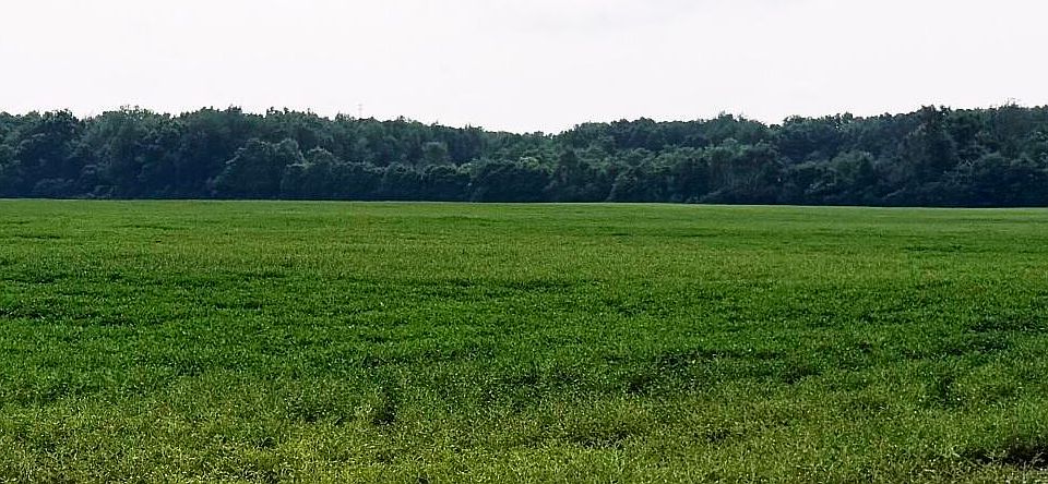 2nd image of 1200 County Road 1200 E