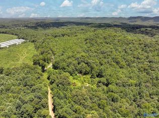212 Brans Chapel Rd, Attalla, AL 35954