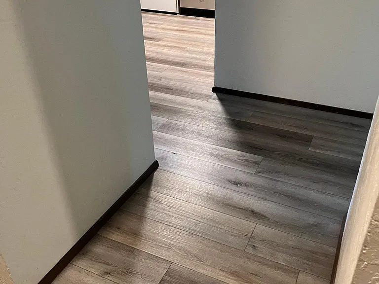 Upgraded vinyl plank flooring in kitchen, entry halls, hall closets, and bathroom.