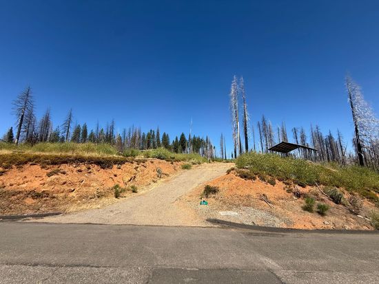 5401 Wooded Glen Dr, Grizzly Flats, CA 95636