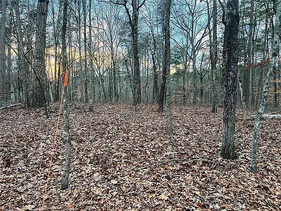 3rd image of 0ZZ Kelly Bridge Rd