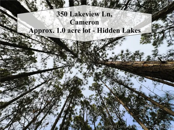 350 Lakeview Ln, Cameron, NC 28326