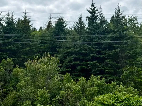 496 Highway 4, Folly Lake, NS B0M 1M0