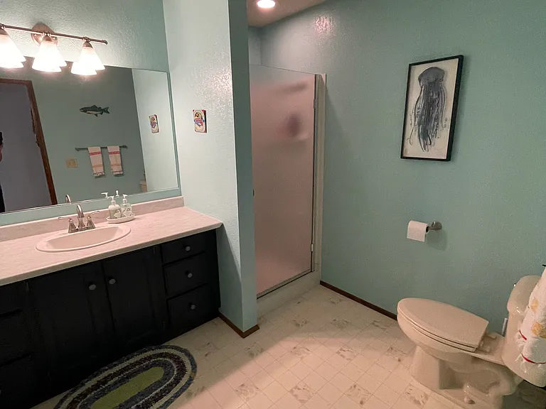 Downstairs bath