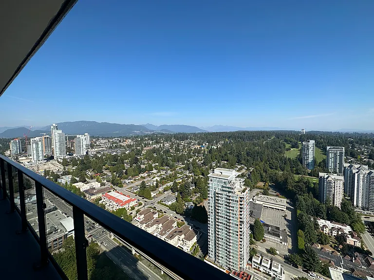 3809 Evergreen Pl #4503 — Photo 38