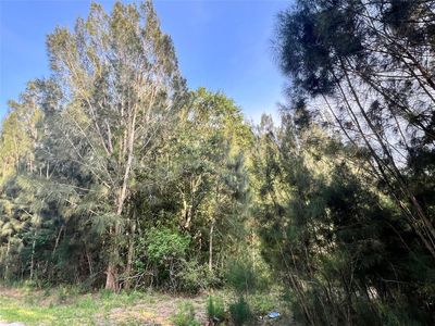 10128 NE 20th Lane, Okeechobee, FL, 34974