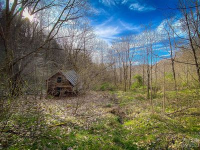 99999 Metcalf Creek Loop, Mars Hill, NC, 28754