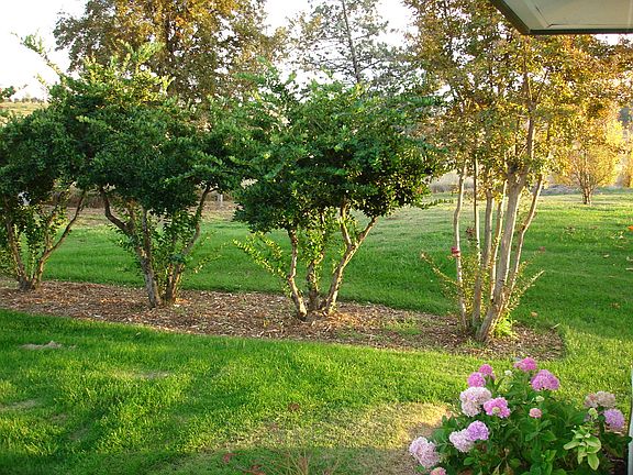 5th image of 6456 Thousand Oaks Dr