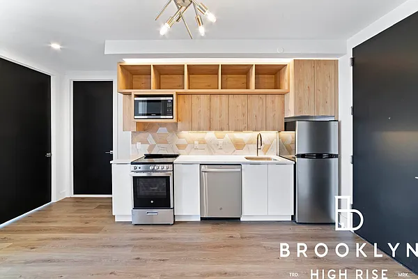 Rented by Brooklyn High Rise LLC | media 2
