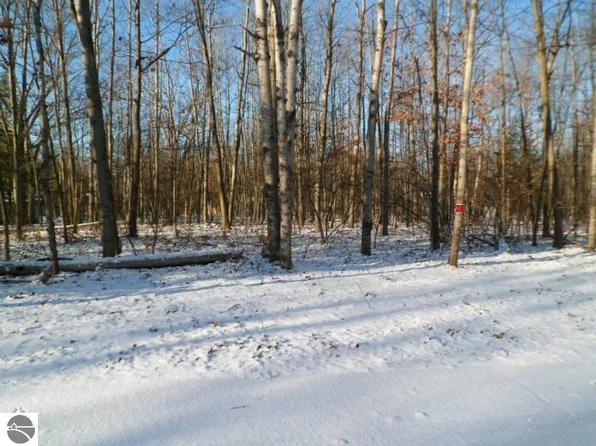 2009 Castle Ct, Weidman, MI 48893