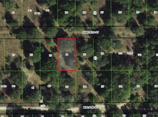 2303 Garfield St, Inverness, FL 34453