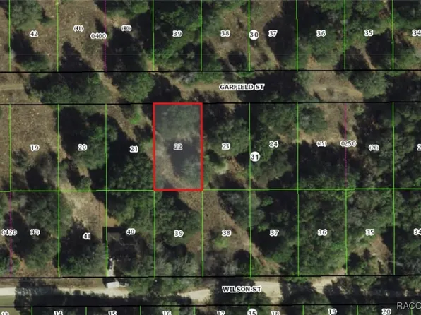 2303 Garfield St, Inverness, FL 34453