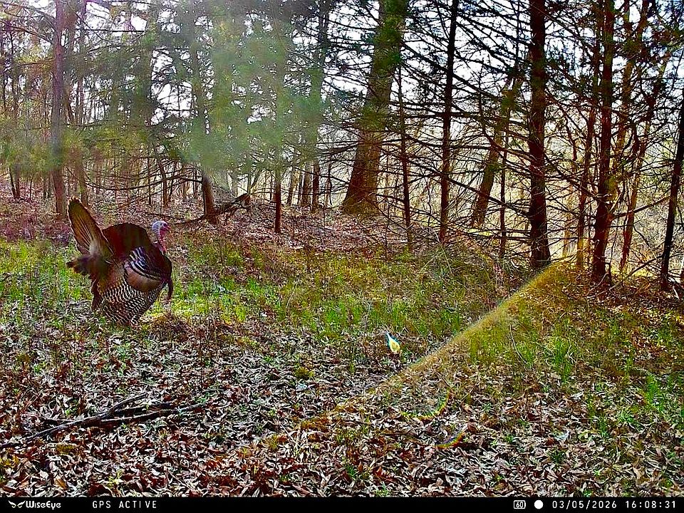 1st image of Mandy Ln