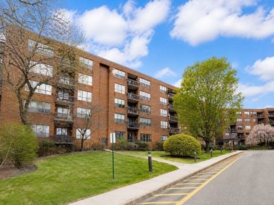 210 Nahanton St APT 102, Newton, MA, 02459
