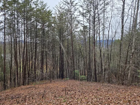 101 Eagles View Trl, Hayesville, NC 28904