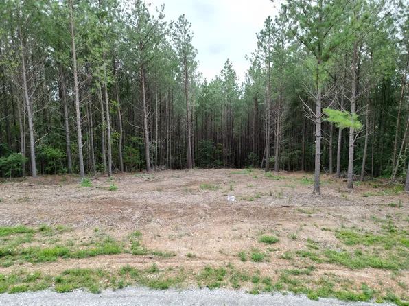 297 Ashwood Dr Lot 251, Linden, TN 37096
