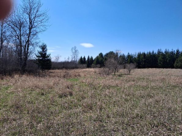 6691 Six Mile Rd, Evart, MI 49631
