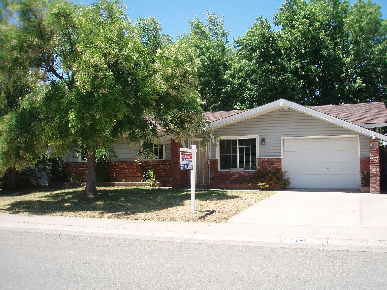 7241 Oakberry Way photo 1