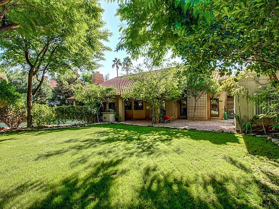 Lush Backyard