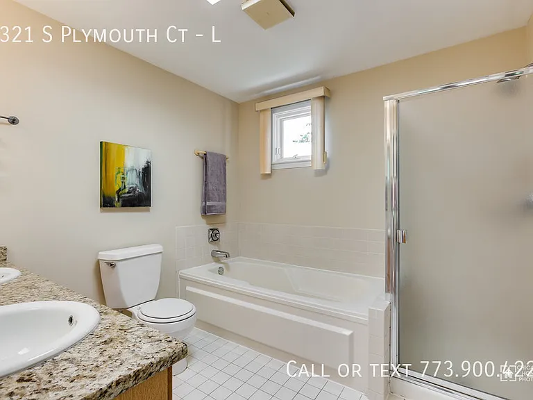 1321 S Plymouth Ct #L — Photo 15