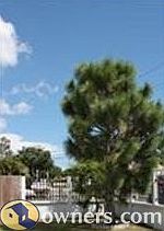 Side front of the house