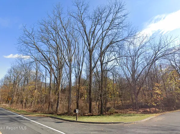 Tbd Main Street, Stone Ridge, NY 12484