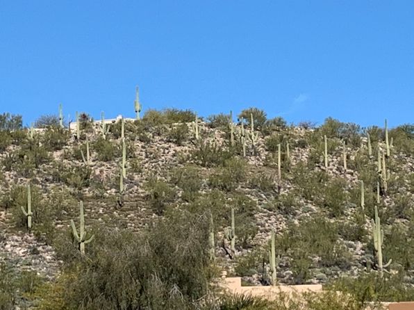 3942 N Pantano Rd #A