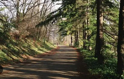 Burke Gilman Trail is practically in your backyard