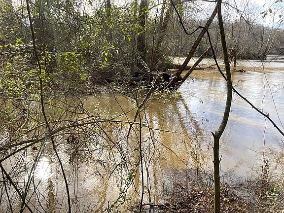 2nd image of 161 Little River Trl