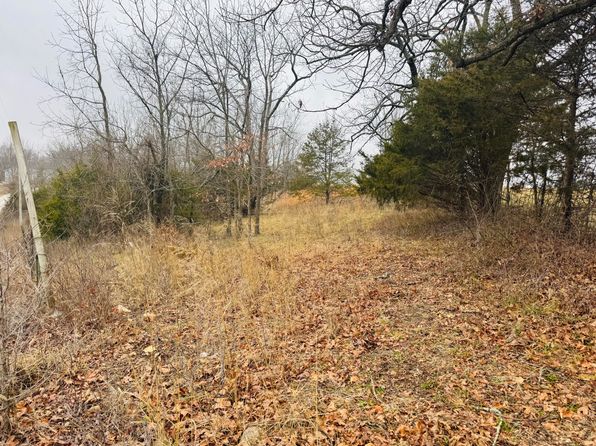 000 Primrose Lane, Clever, MO 65631