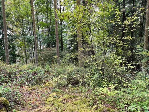 149 Center Island, Center Island, WA 98221