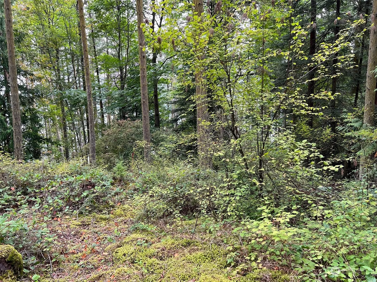 149 Center Island photo 1