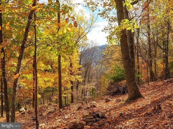 LOT 42 Treehouse Pl, Nellysford, VA 22958